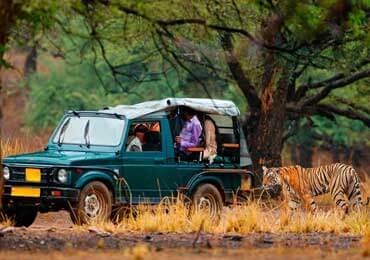 Golden Triangle Tour with Ranthambore